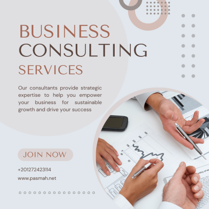 Consulting Services